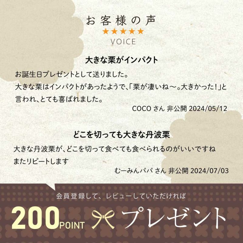 NTD丹波栗のケーキ12