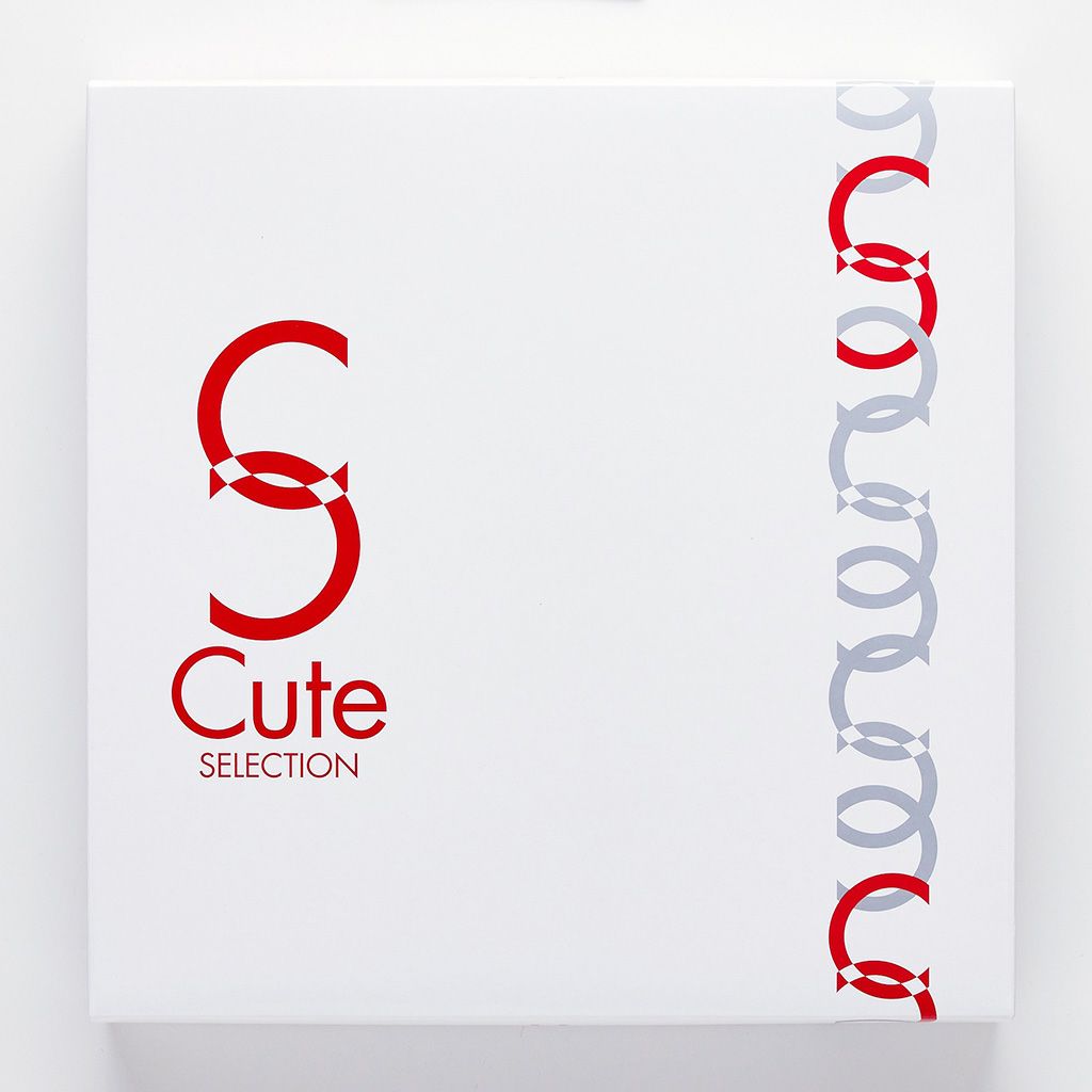 Hitotoeキュートセレクション23号13